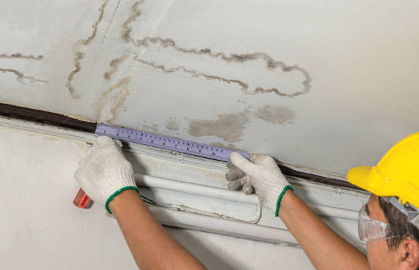 Reliable Water Damage Repair contractor in Forest, MS by Hirex Water Damage